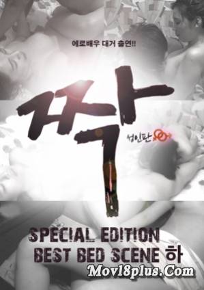 Adult Version Pair SPECIAL EDITION BEST BED SCENE 2
