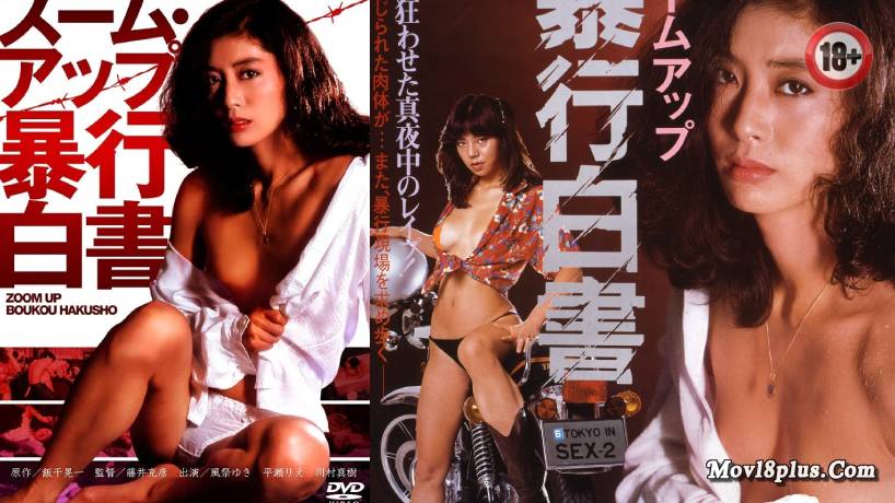 Zoom Up: Sexual Crime Report