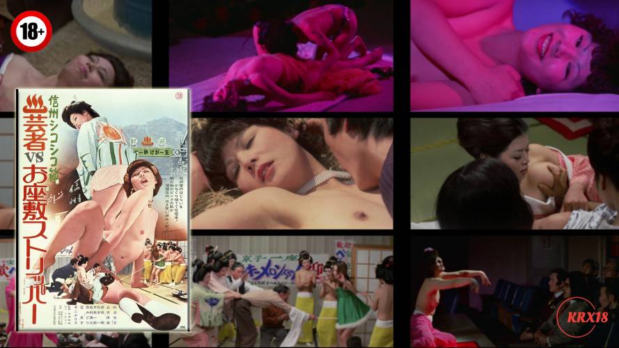 Geisha vs. Ozashiki Stripper
