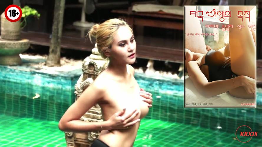 Purpose Of Traveling To Thailand – Pattaya Pool Villa Sex Scene