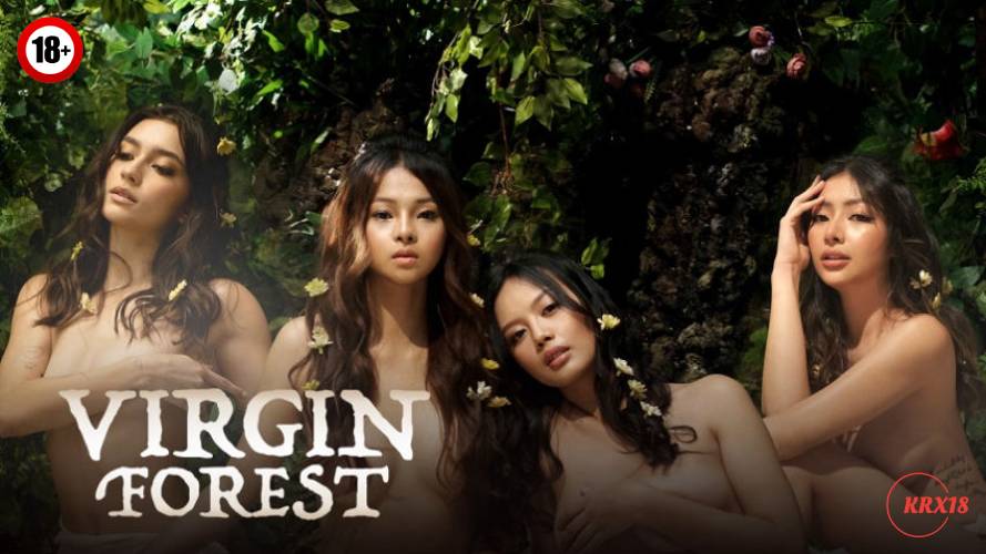 Virgin Forest