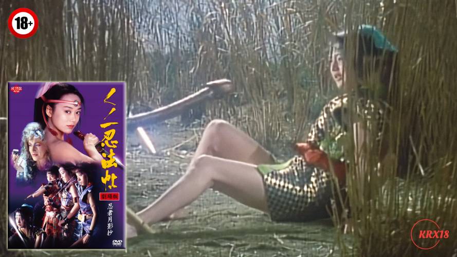 Female Ninjas Magic Chronicles 6 – Lady Ninja: Reflections of Darkness