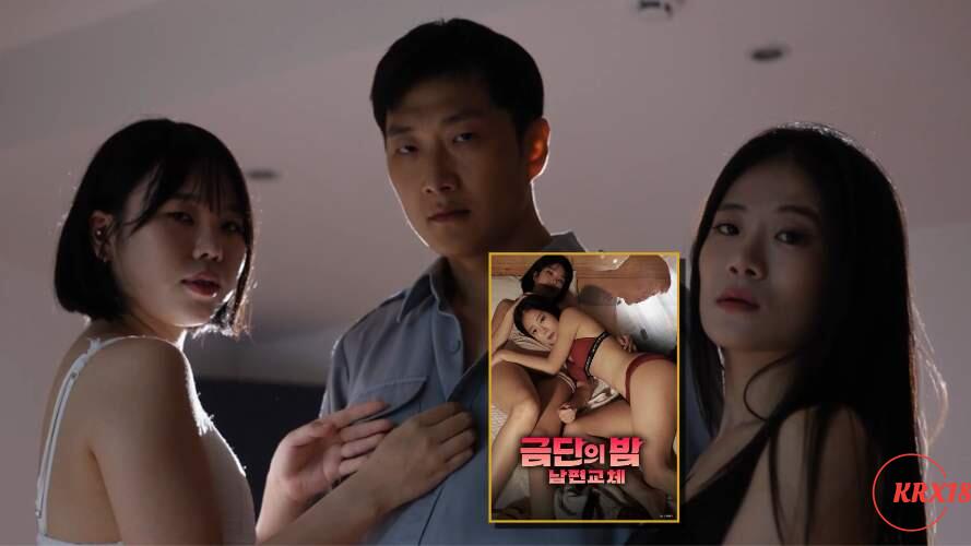 Forbidden Night: Husband Replacement